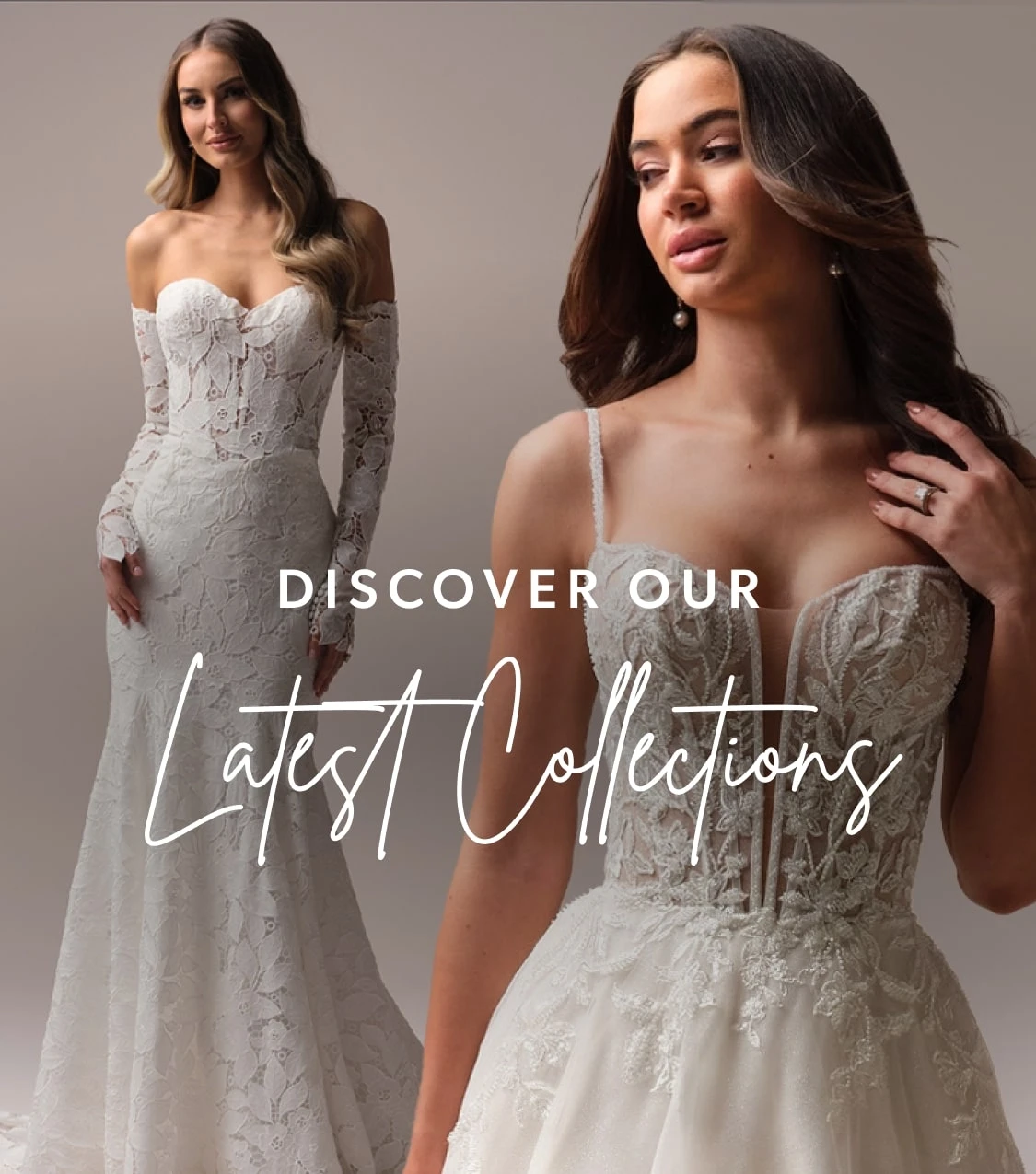 Discover Our Latest Collection