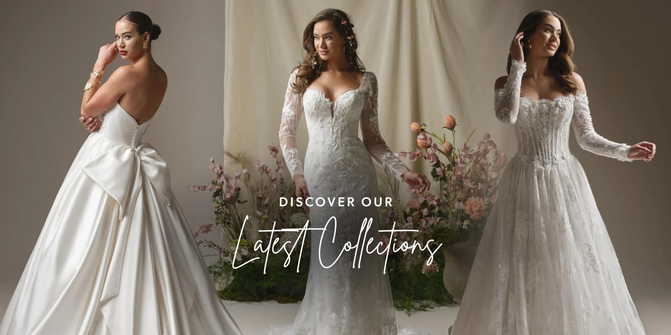 Discover Our Latest Collections