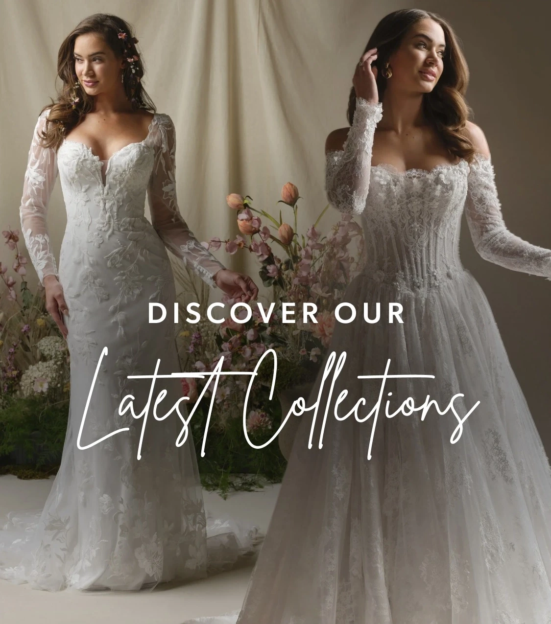 Discover Our Latest Collections